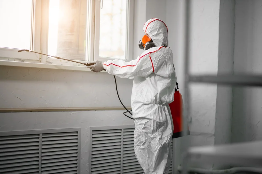 Professional mold remediation services in Longport, NJ